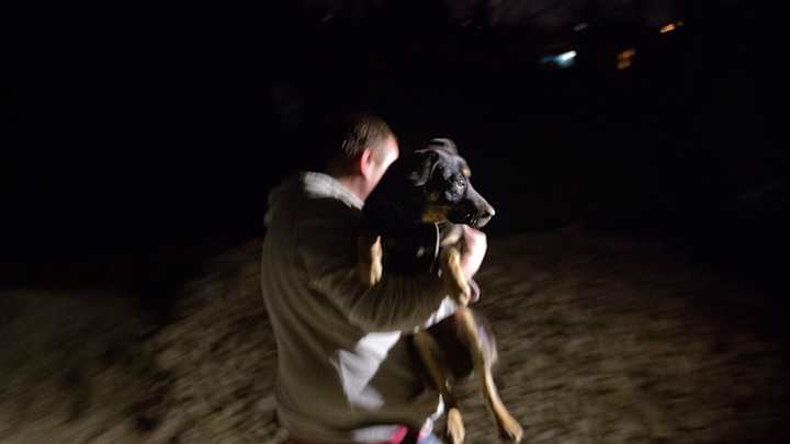 Volunteers smuggle Sochi dogs out of town