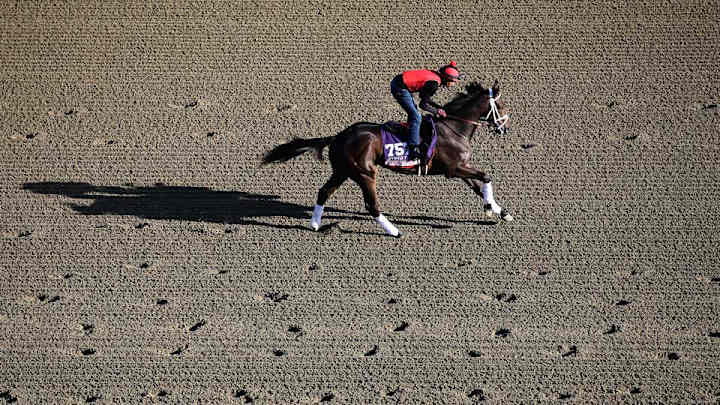 New owner is spending big and having fun -- and winning races New owner is spending big and having fun -- and winning races