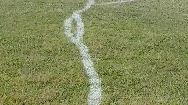 Romanian Groundskeeper Gets Bombed, Lines Soccer Field Poorly