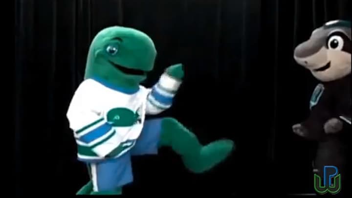 Ex-mascot Pucky the Whale dances in gifs you never knew you needed Ex-mascot Pucky the Whale dances in gifs you never knew you needed