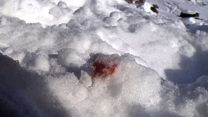 French investigators seek alleged Michael Schumacher video