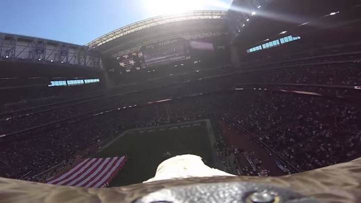 Watch what it's like to be an eagle soaring around an NFL stadium