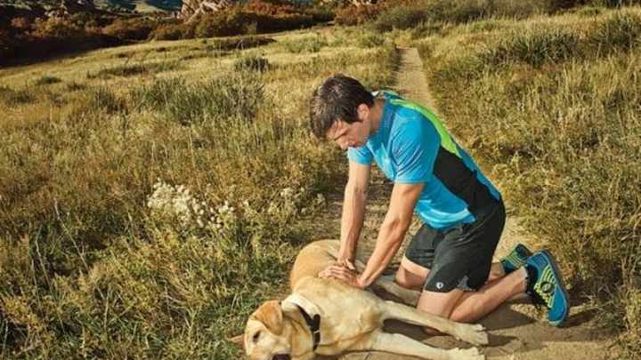 Sneaker Brand Is Sorry It Implied That Its Footwear Could Lead to the Death of Your Dog Sneaker Brand Is Sorry It Implied That Its Footwear Could Lead to the Death of Your Dog