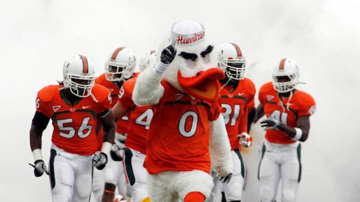 Giving thanks for an inexhaustible supply of Sebastian the Ibis photos