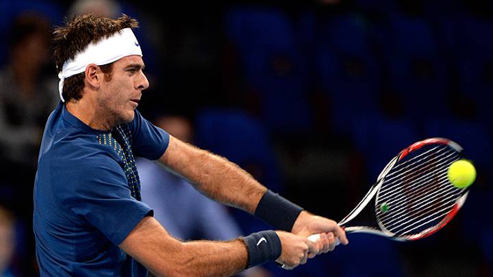 Del Potro cruises past Baghdatis in Swiss Indoors
