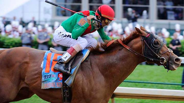 Animal Kingdom loses in last race at Royal Ascot