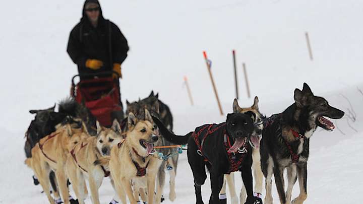 Former champion Mitch Seavey reclaims lead in Iditarod Former champion Mitch Seavey reclaims lead in Iditarod