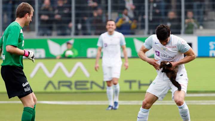 Furry field invasion disrupts Swiss soccer match