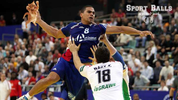 How Sports Would Look If They Were Played Using Kittens How Sports Would Look If They Were Played Using Kittens