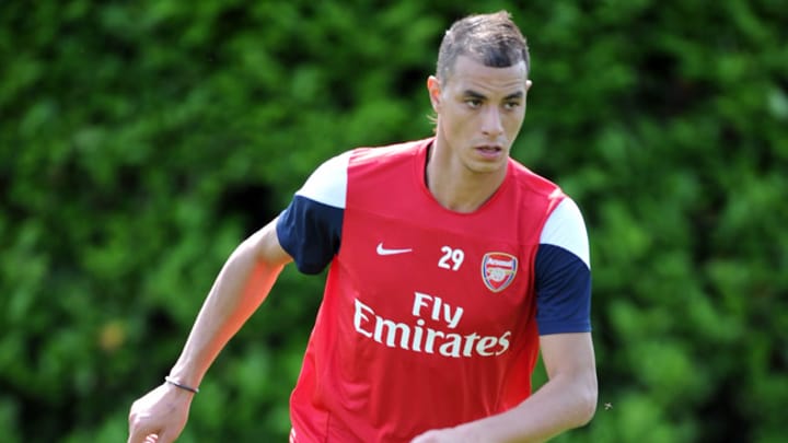 Crystal Palace signs Marouane Chamakh from Arsenal Crystal Palace signs Marouane Chamakh from Arsenal