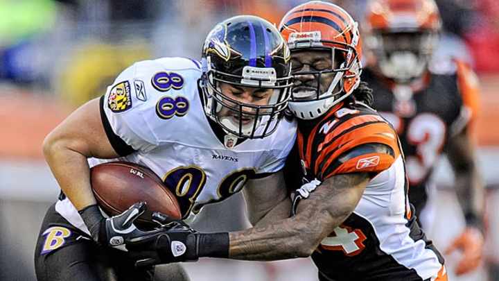 Injury watch for 2013 NFL season