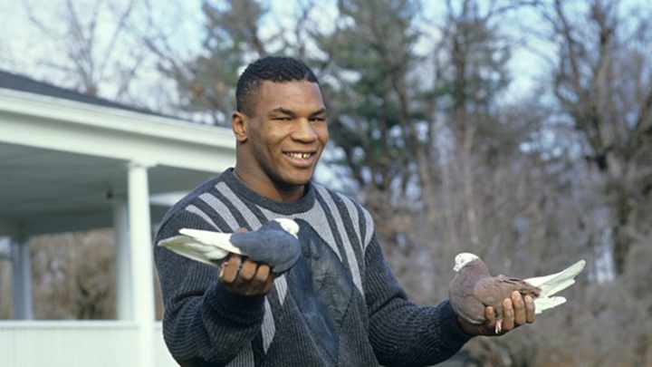 Friday's P.M. Hot Clicks