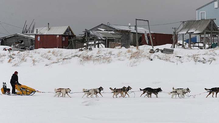 Mitch Seavey holds Iditarod lead with Aliy Zirkle close behind