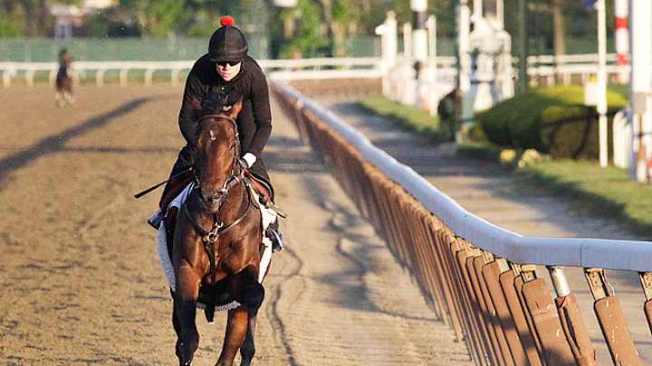 McGaughey's throwback mindset may be key to winning Triple Crown McGaughey's throwback mindset may be key to winning Triple Crown