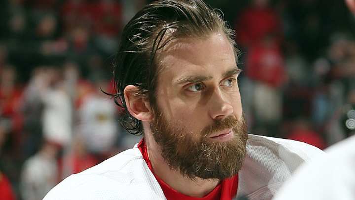 2013 NHL Playoff Beards