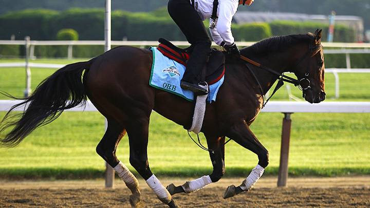 Everything on target for Orb ahead of Belmont Stakes