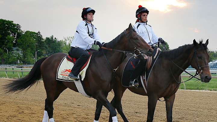 Preakness favorite Orb comes from ordinary beginnings Preakness favorite Orb comes from ordinary beginnings