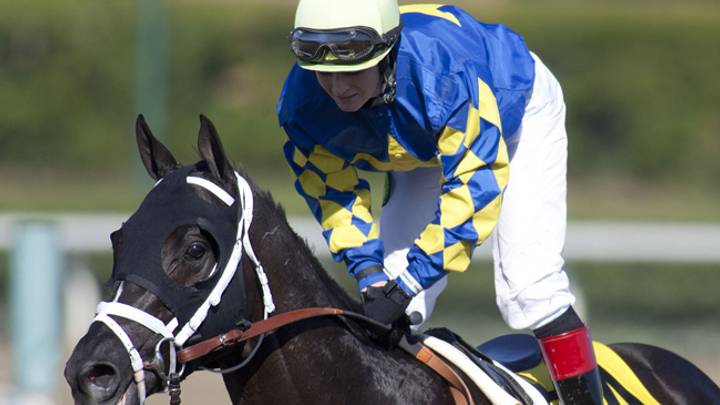 Shanghai Bobby among Triple Crown nominees