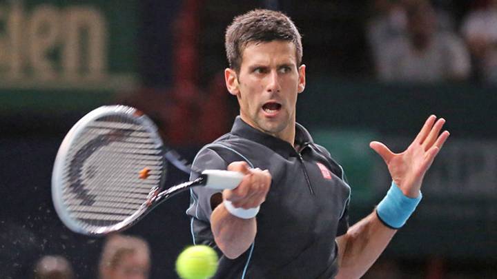 Novak Djokovic takes Paris Masters by beating David Ferrer