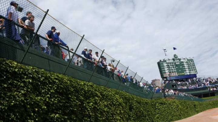 Two men arrested trying to steal Wrigley Field ivy Two men arrested trying to steal Wrigley Field ivy