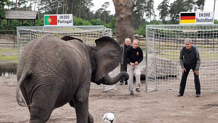 The Best of Did You See That?