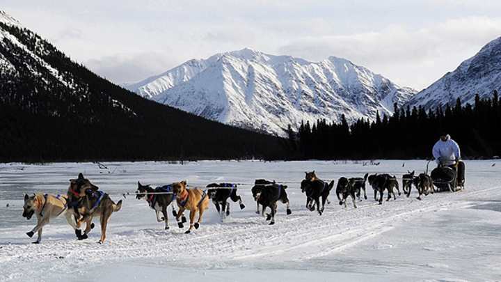 Mushers drawn to Iditarod race by love of sport, not money