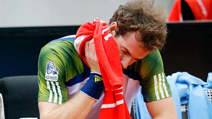 Andy Murray will miss French Open with back injury