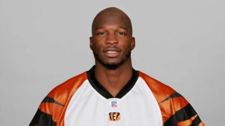 Chad Johnson sentenced to 30 days in jail