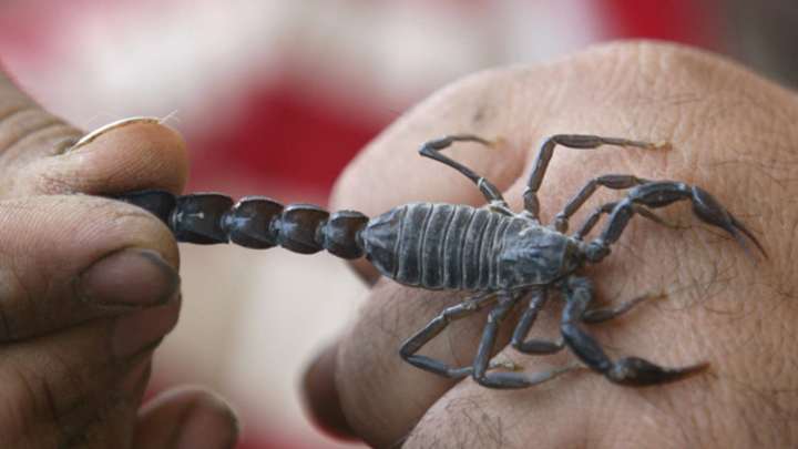 Thursday's P.M. Hot Clicks