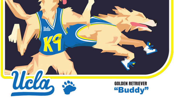 Where Are They Now: Illegitimate Pups and PEDs Couldn't Keep Air Bud Down Where Are They Now: Illegitimate Pups and PEDs Couldn't Keep Air Bud Down