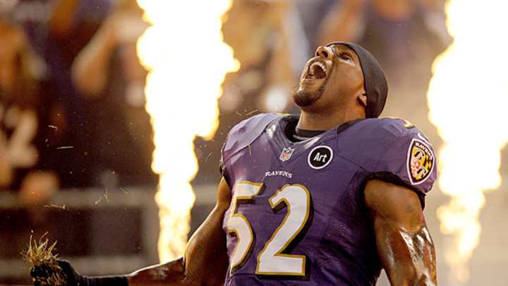 In Focus: Baltimore Ravens