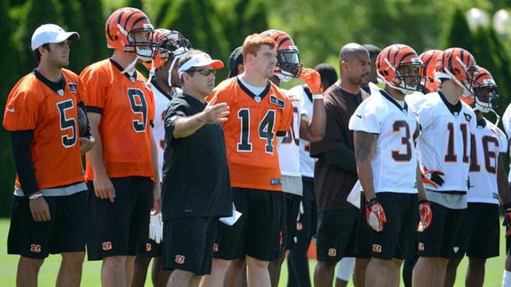 Bengals' reputation as harborer of thugs no longer applies