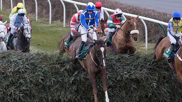 Horse's death overshadows Sprinter Sacre's win at Aintree Festival