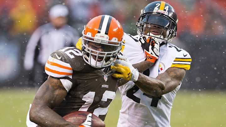 What Can This Brown Do? A Lot What Can This Brown Do? A Lot