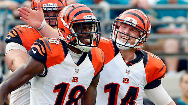 Cincinnati Bengals 2013 Offseason Preview Cincinnati Bengals 2013 Offseason Preview