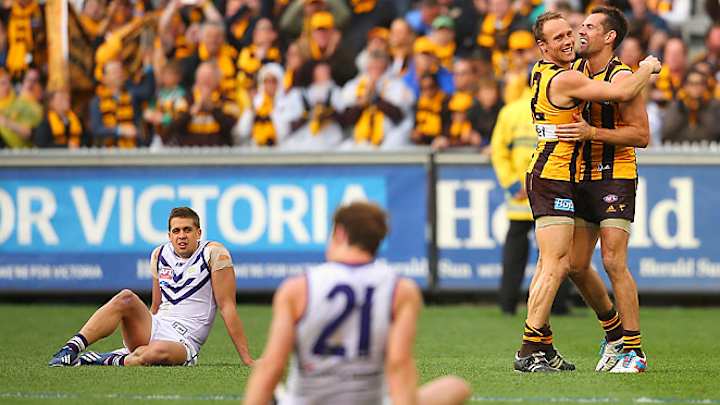 Hawthorn tops Fremantle in AFL Grand Final