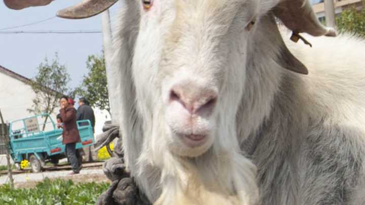 Thursday's A.M. Hot Clicks