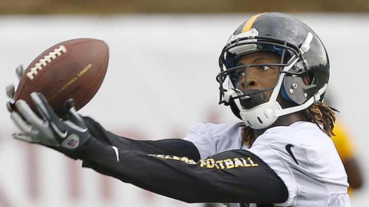 NFL Training Camp Snapshot 2013: Pittsburgh Steelers