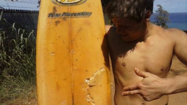 Just Another Story of a Surfer Punching a Shark in the Face Just Another Story of a Surfer Punching a Shark in the Face