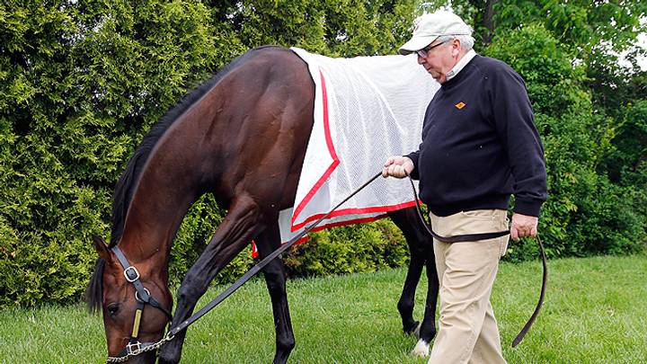 McGaughey: Orb was "full of energy" in workout at Pimlico
