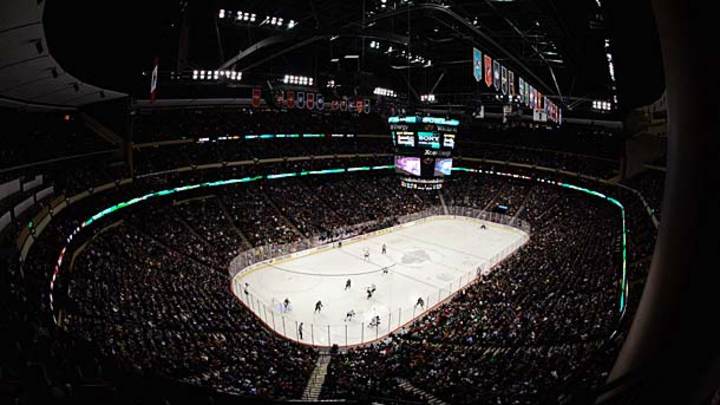 The best place to watch an NHL game? Survey says...