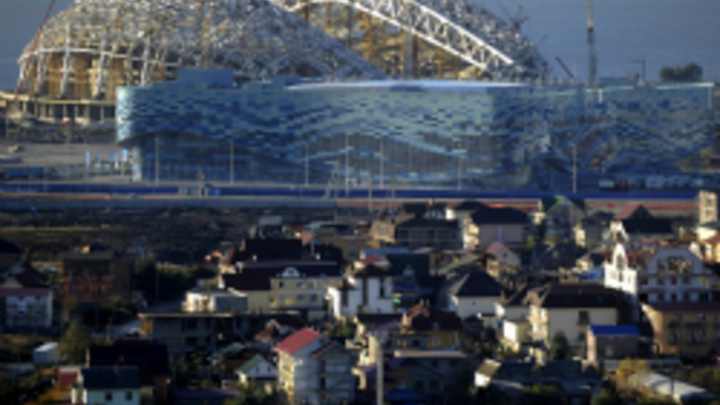 Sochi officials cancel plans to kill more than 2,000 stray animals before 2014 Olympics