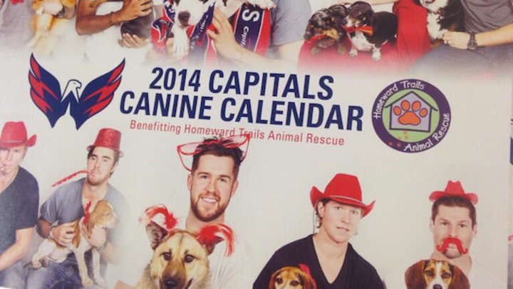 Washington Capitals Pose with Dogs and Stupid Props in Canine Calendar