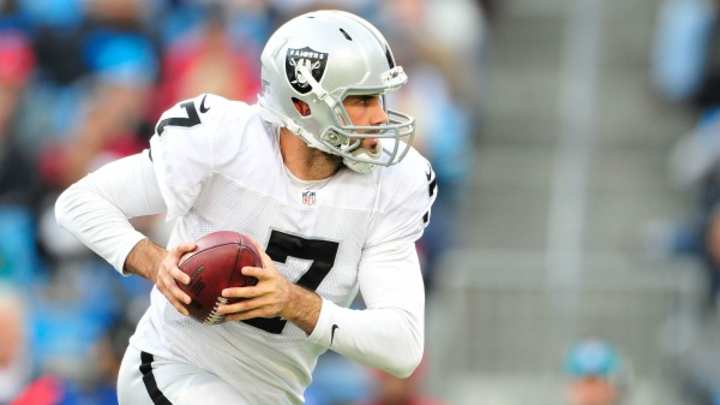 Report: Bills to work out QB Matt Leinart on Sunday