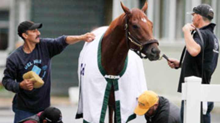 I'll Have Another's scratch at Belmont another big blow to racing