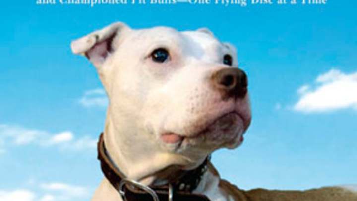 How Frisbee changed the life of a rescued pit bull -- and his owners How Frisbee changed the life of a rescued pit bull -- and his owners