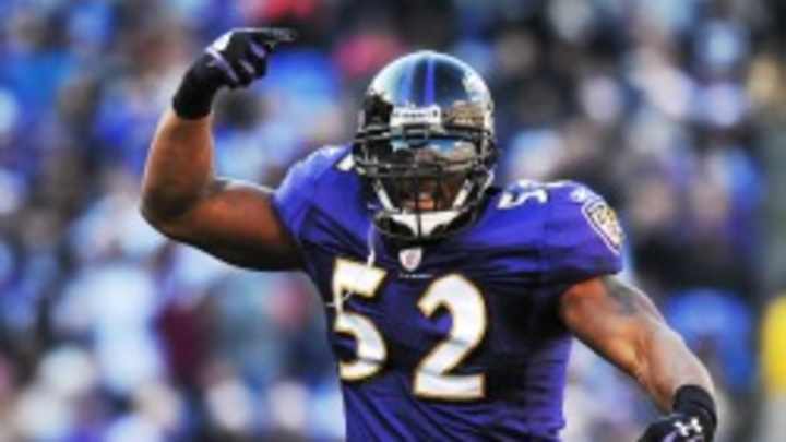 Ravens linebacker Ray Lewis out for the year with triceps tear