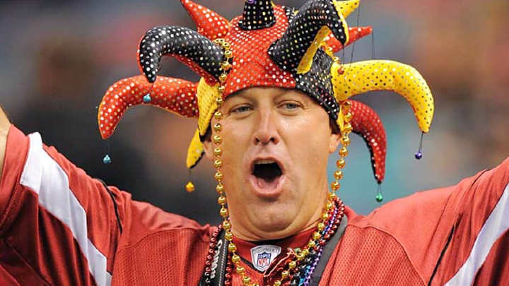 NFL Divisional Playoff Fans