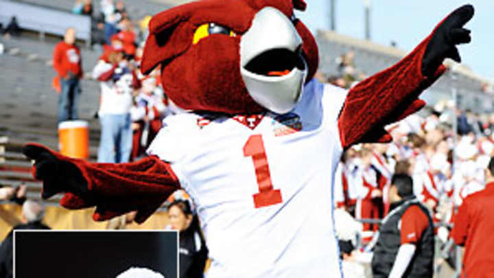 A confederacy of Filches