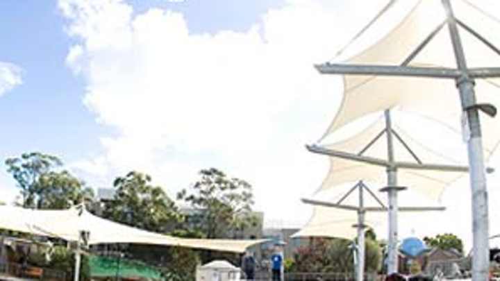 Fearless Dennis Enarson follows his own rules to BMX success